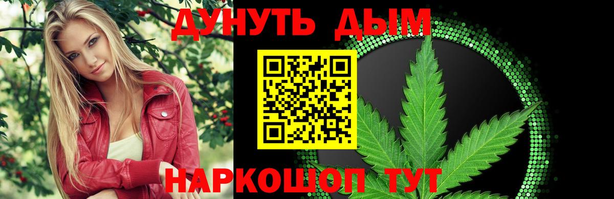 Шишки марихуана планчик Сухой Лог
